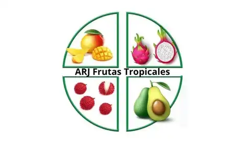 ARJ FRUTAS