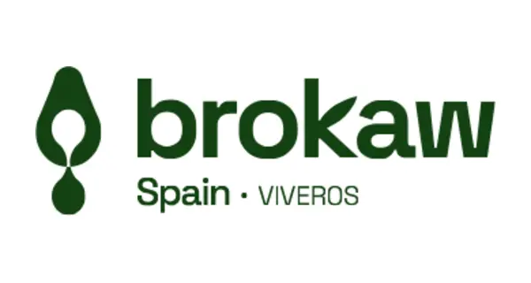Brokaw España