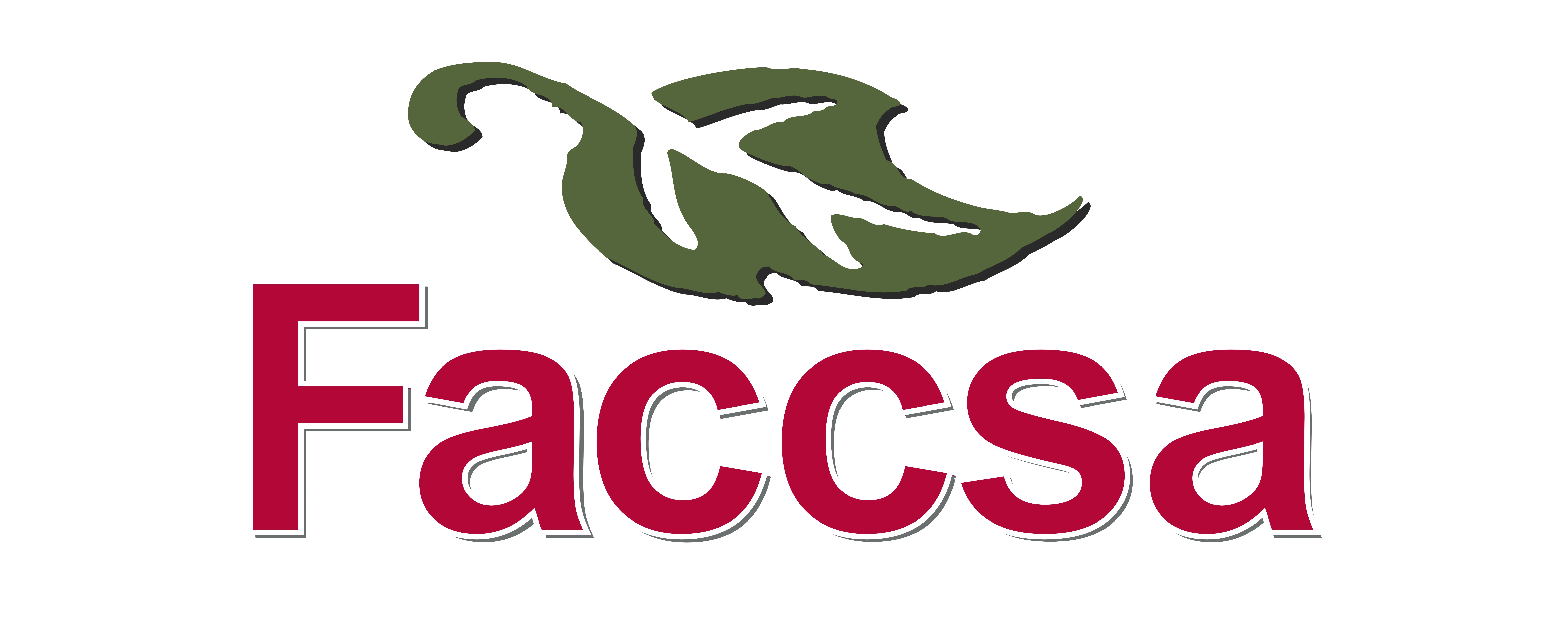 FAccsa