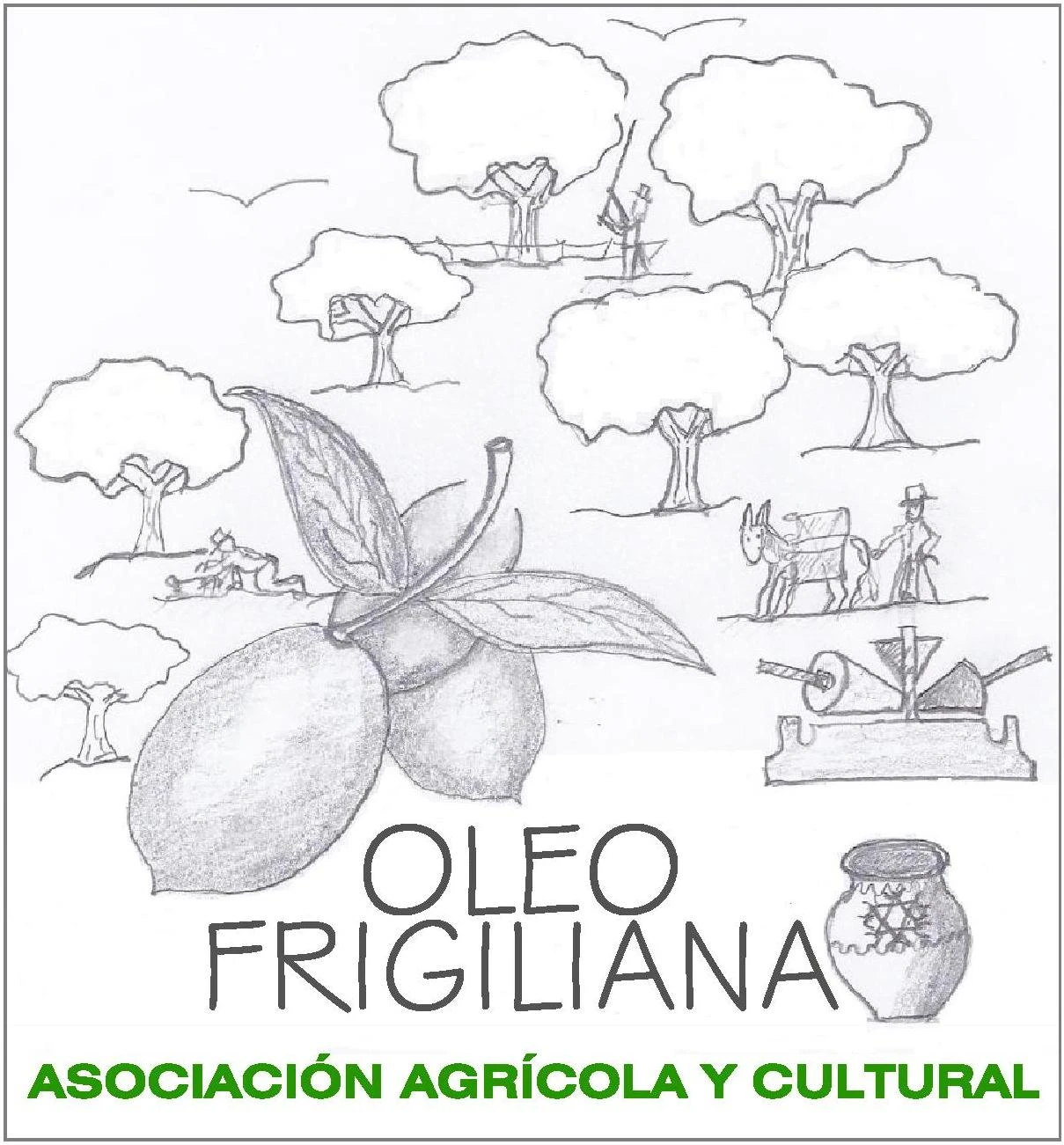 OLEO FRIGILIANA